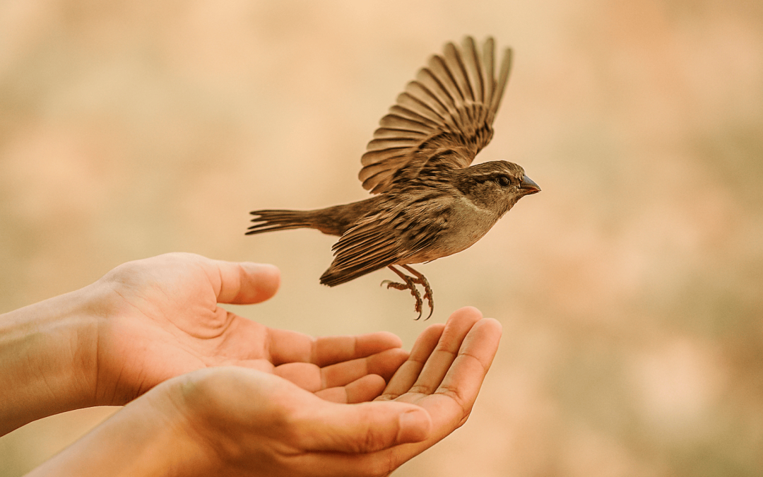 The Illusion of Control: Why Letting Go Is the Real Power